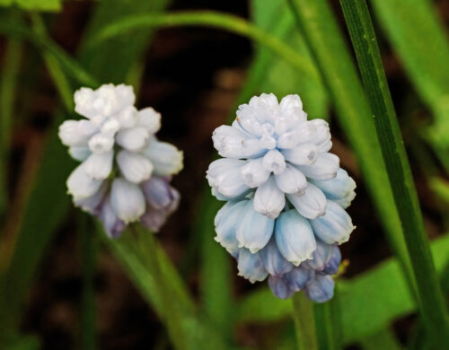 Ans-van-Berkel-Poldertuin-2