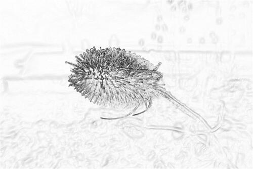 Ben Paauwe - Thema Grafische Fotografie - 1