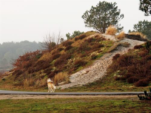 Neli-Ootjers-Wind-Clubuitje-Winterwandeling-1