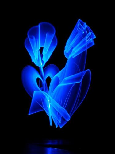 Neli Ootjers-Wind - Workshop Lightpainting - 2