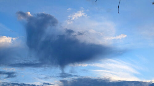 Neli.Ootjers-Wind thema pareidolie 1
