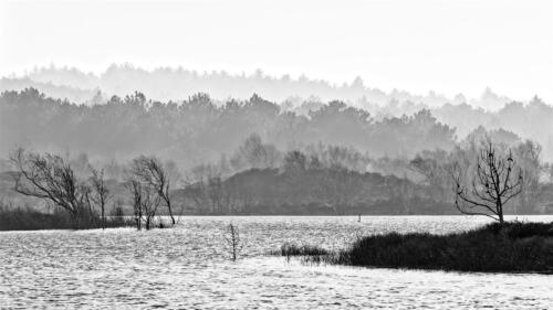 Ronald Mallant - Clubuitje Winterwandeling - 2