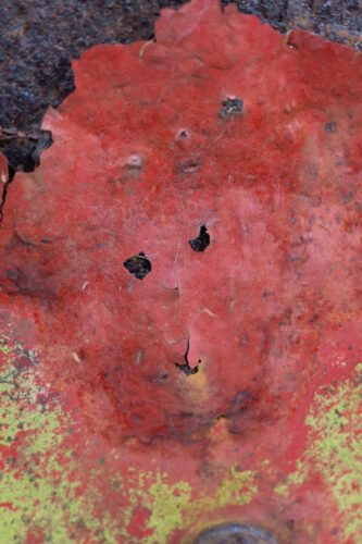 Sandra Dekker - Pareidolie
