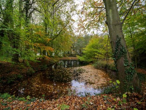 2024 - Clubuitje Boswandeling Oude Hof, Bergen-2