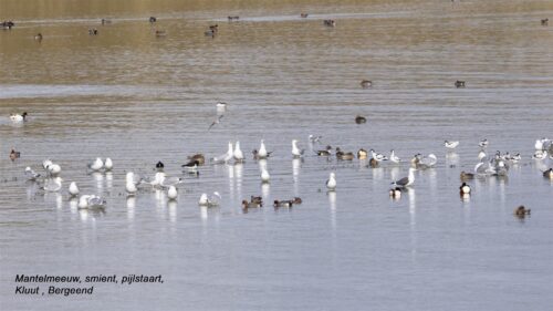 Tiem Meijering - Clubuitje Texel - 2