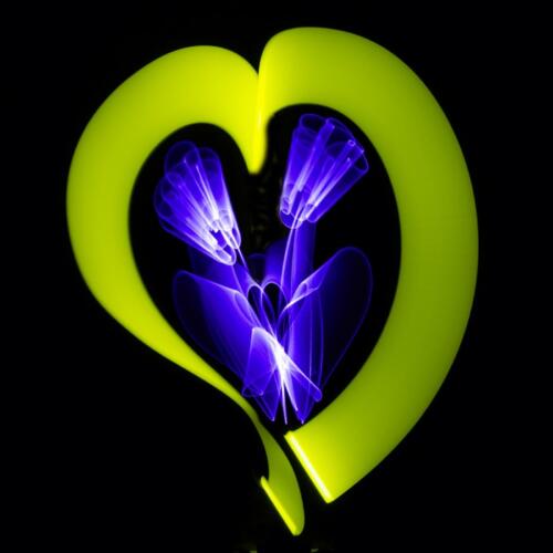 Tiem Meijering - Workshop Lightpainting - 2